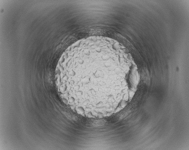 X0000071770663200607282214