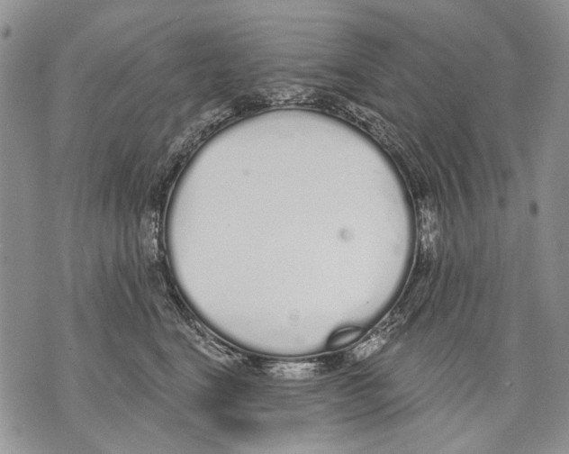 X0000071770664200607282214