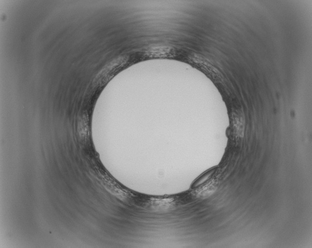 X0000071770665200607282214