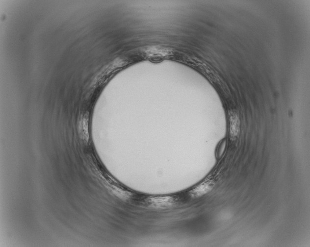 X0000071770666200607282214