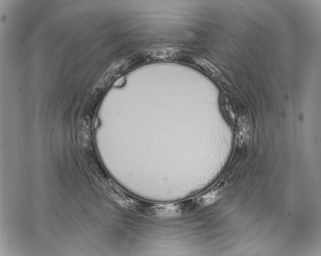 X0000071770667200607282214