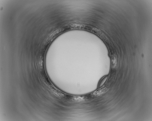 X0000071770668200607282214