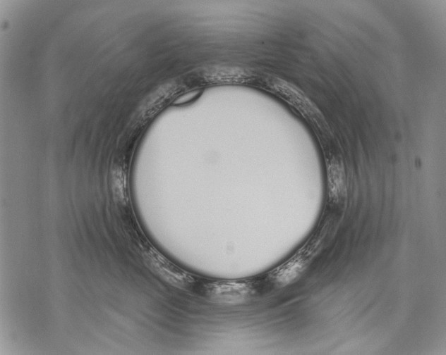 X0000071770669200607282214