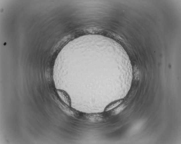 X0000071770670200607282214