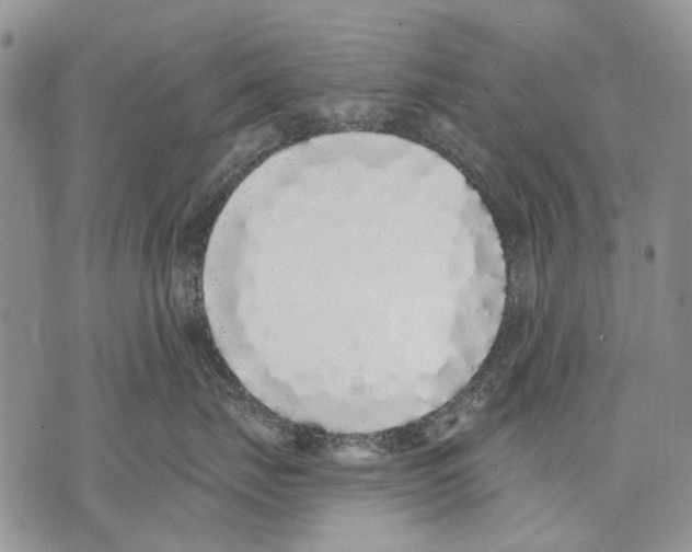 X0000071770671200607282214