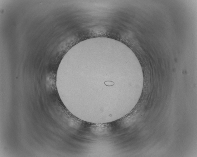 X0000071770672200607282214