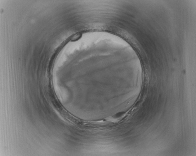 X0000071770674200607282214