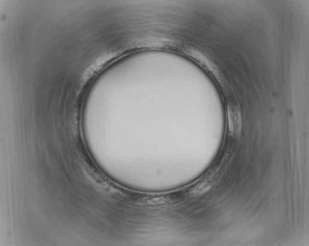 X0000071770675200607282214