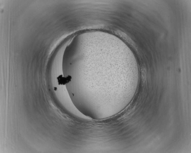 X0000071770676200607282214