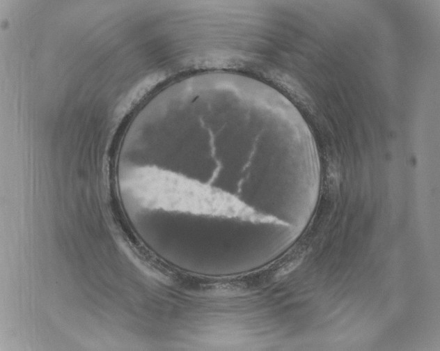 X0000071770678200607282214