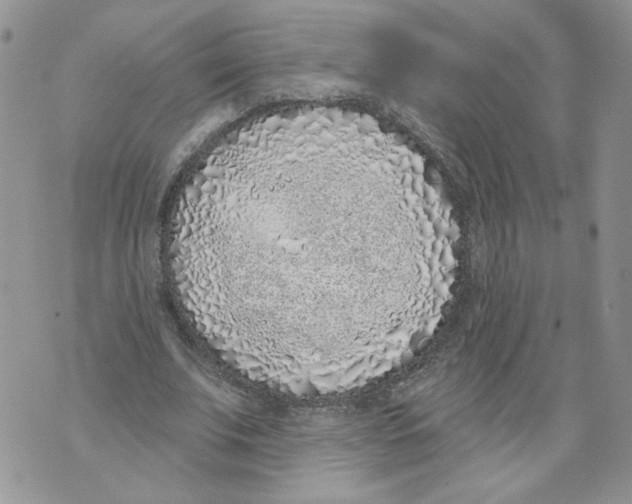 X0000071770679200607282214