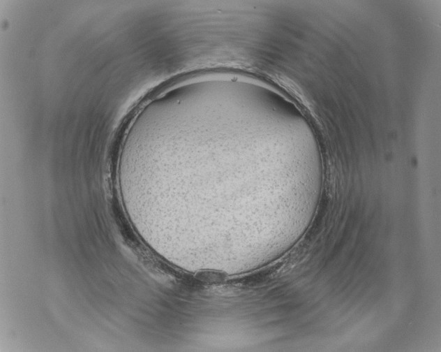 X0000071770680200607282214