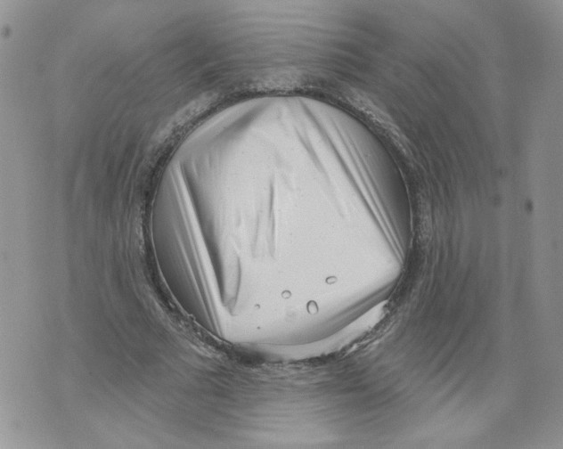 X0000071770681200607282214