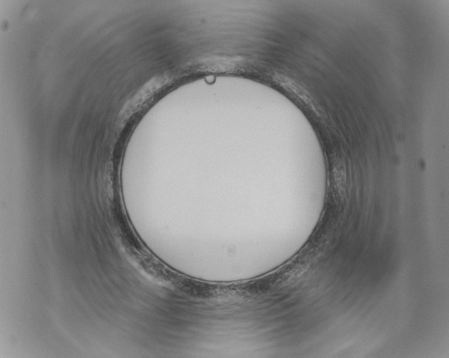 X0000071770682200607282214