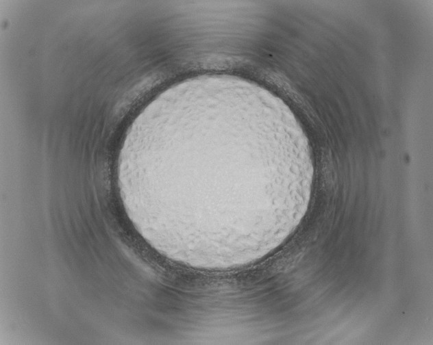 X0000071770683200607282214