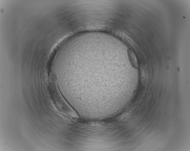 X0000071770684200607282214