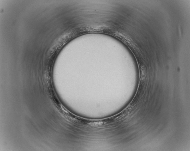 X0000071770687200607282213