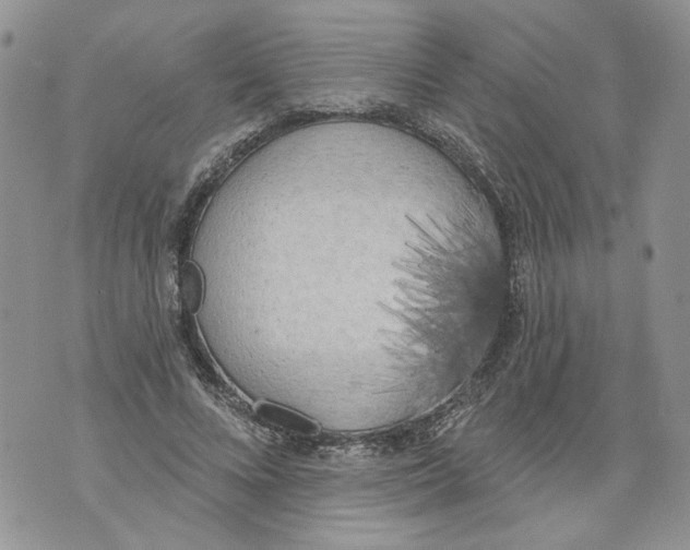 X0000071770688200607282213