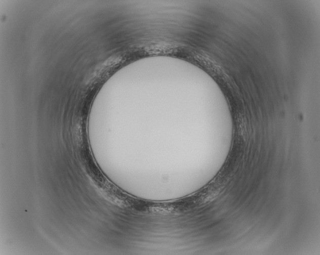 X0000071770690200607282213