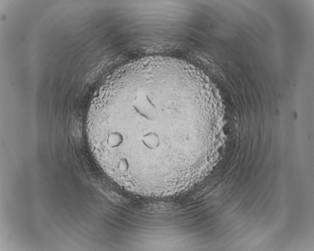 X0000071770691200607282213