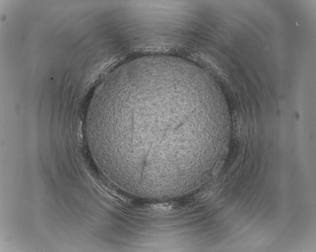 X0000071770692200607282213