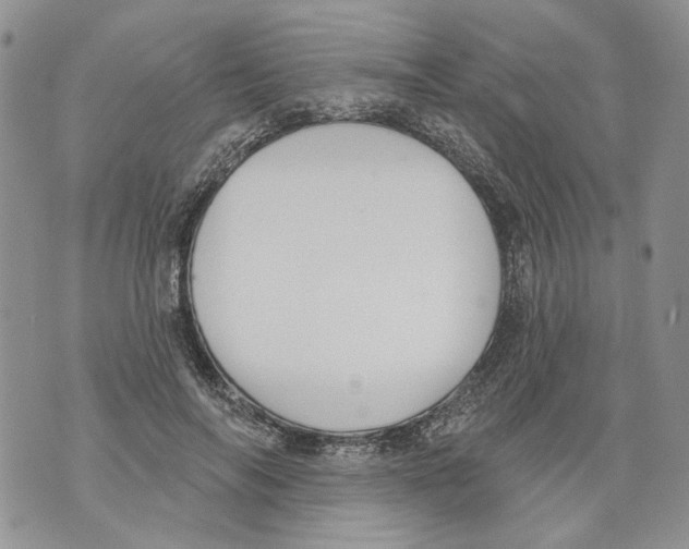 X0000071770694200607282213