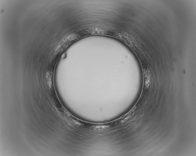 X0000071770695200607282213