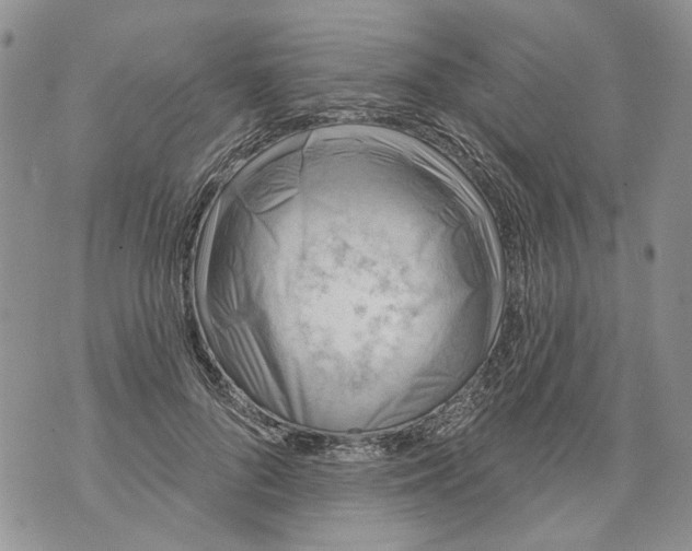 X0000071770696200607282213