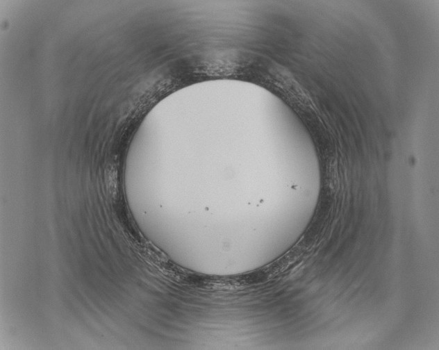 X0000071770697200607282213