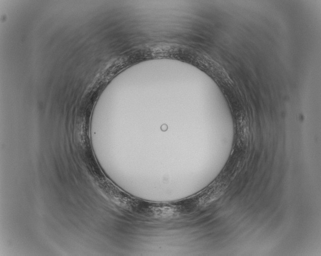 X0000071770698200607282213