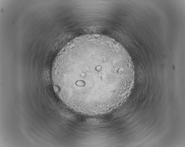 X0000071770699200607282213