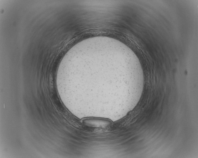 X0000071770700200607282213