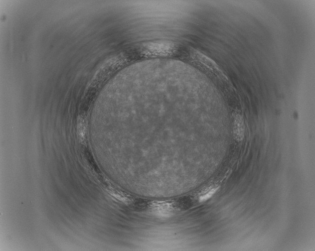 X0000071770701200607282213