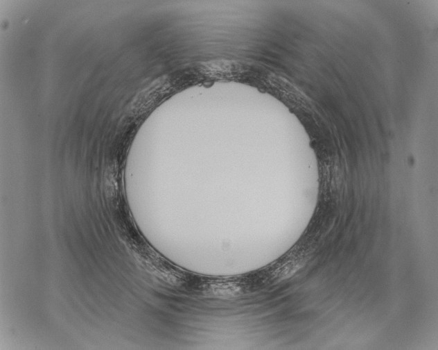 X0000071770702200607282213