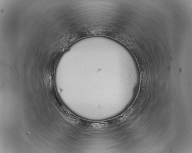 X0000071770703200607282213