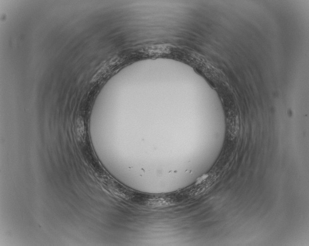 X0000071770704200607282213