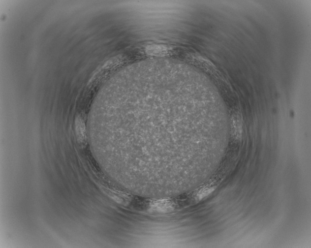 X0000071770705200607282213