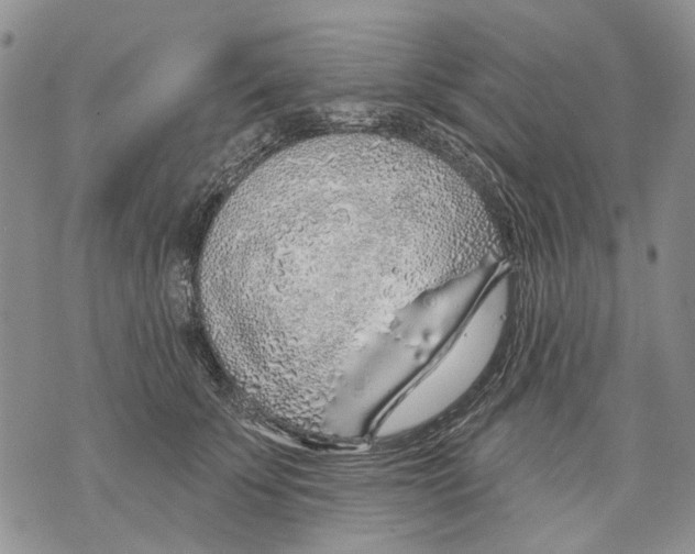 X0000071770707200607282213