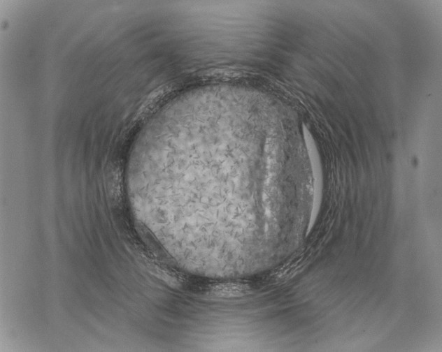 X0000071770708200607282213