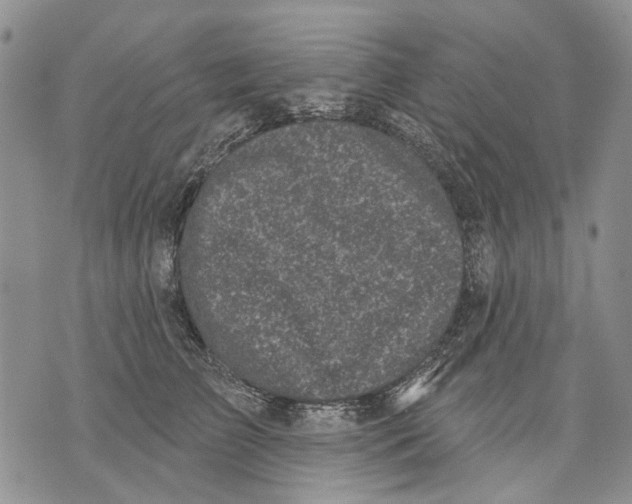 X0000071770709200607282213