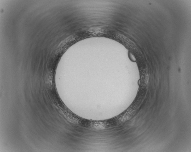 X0000071770710200607282213