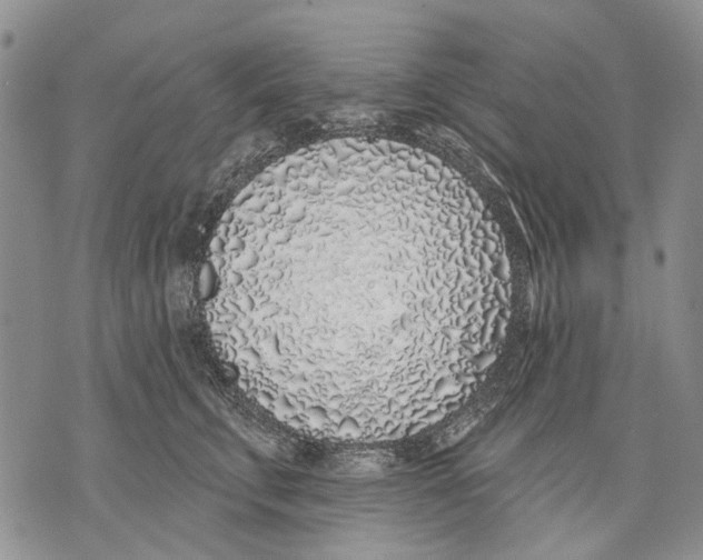 X0000071770711200607282213