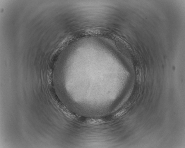 X0000071770712200607282213