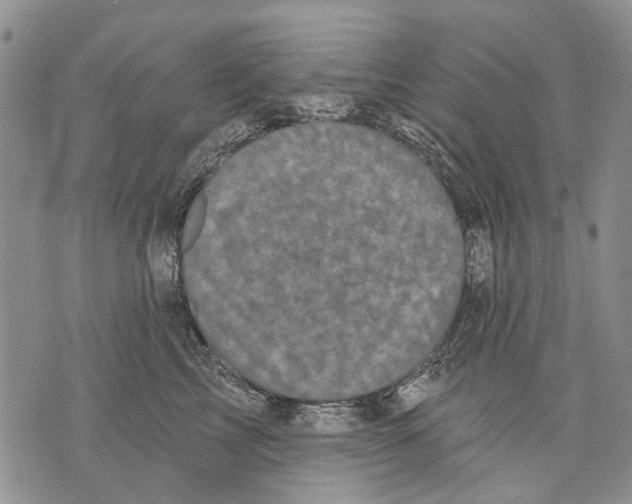 X0000071770713200607282213