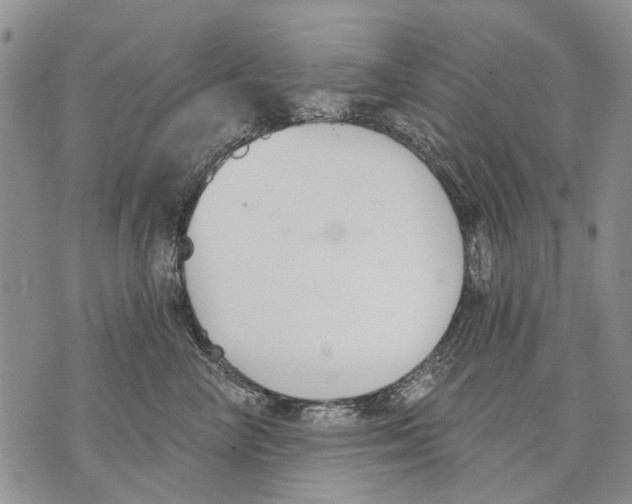 X0000071770714200607282213