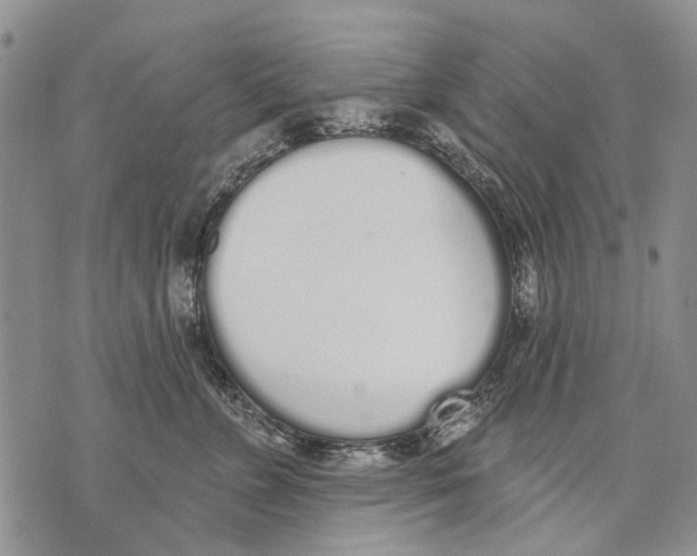 X0000071770715200607282213