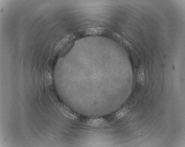 X0000071770716200607282213