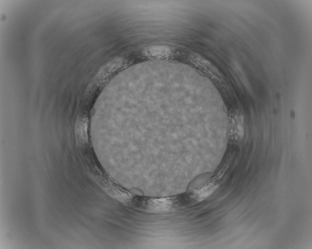 X0000071770717200607282213