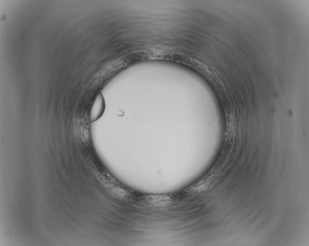 X0000071770719200607282213