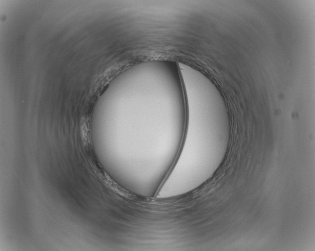 X0000071770720200607282213